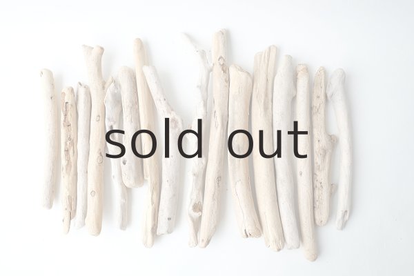 画像1: 小枝流木セット (1)