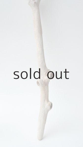 画像4: 小枝流木セット (4)