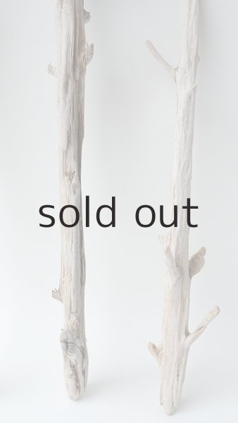 画像6: 小枝流木セット (6)