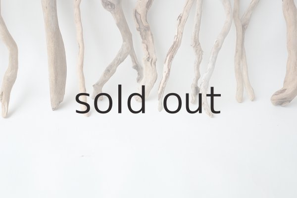 画像6: 流木根セット (6)