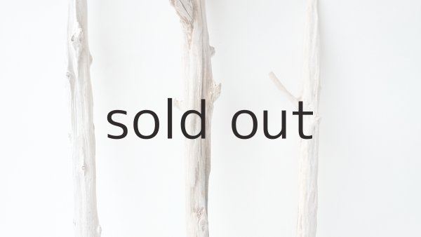 画像3: 小枝流木セット (3)