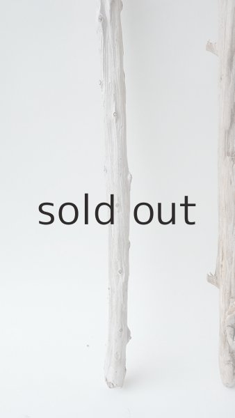 画像5: 小枝流木セット (5)