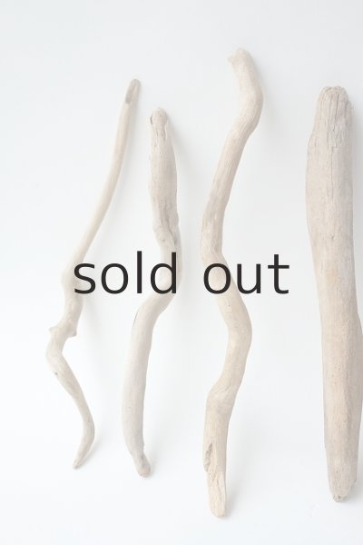 画像2: 流木根セット (2)