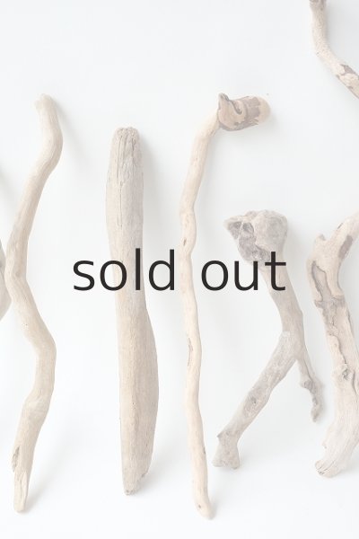 画像3: 流木根セット (3)