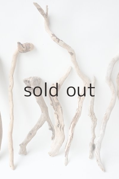 画像4: 流木根セット (4)