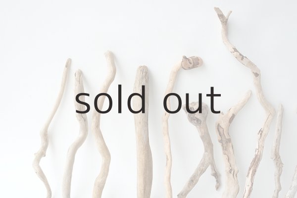 画像7: 流木根セット (7)