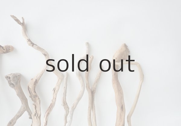 画像8: 流木根セット (8)