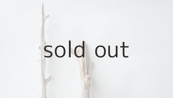 画像4: 小枝流木セット (4)