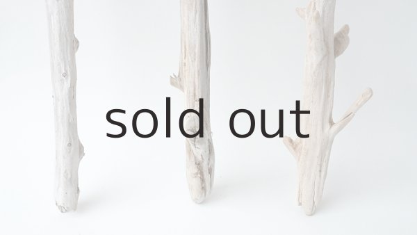 画像2: 小枝流木セット (2)