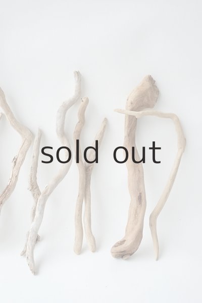 画像5: 流木根セット (5)