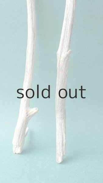 画像2: 小枝流木セット (2)