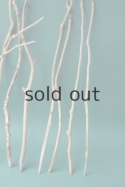 画像4: 小枝流木セット (4)