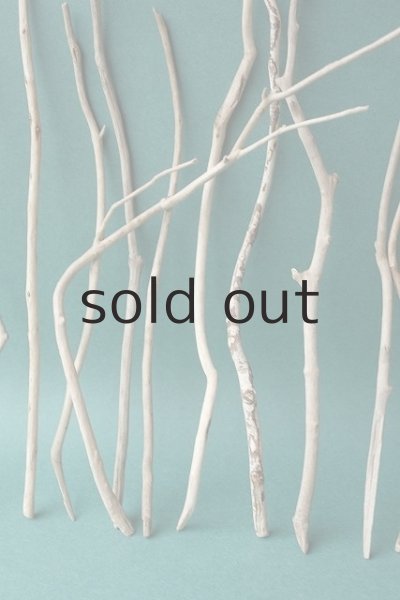 画像3: 小枝流木セット (3)