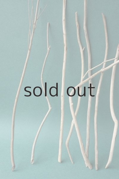 画像2: 小枝流木セット (2)