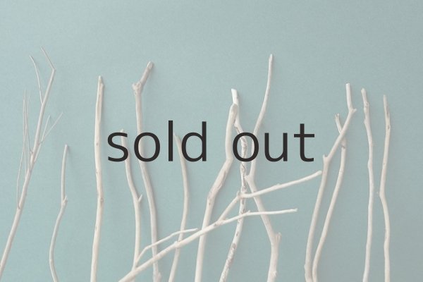 画像6: 小枝流木セット (6)