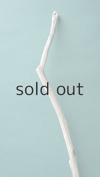 画像5: 小枝流木セット (5)