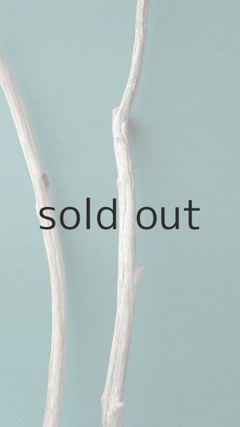 画像3: 小枝流木セット (3)