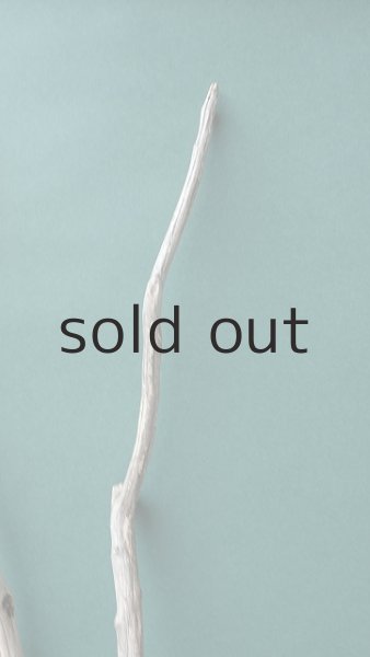 画像4: 小枝流木セット (4)