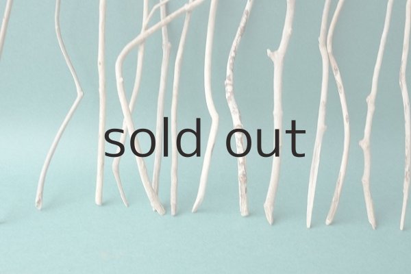 画像5: 小枝流木セット (5)