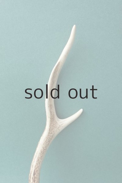 画像3: デコール用二ホンジカの角 (3)