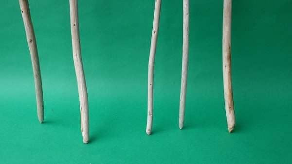 画像2: 棒流木セット (2)