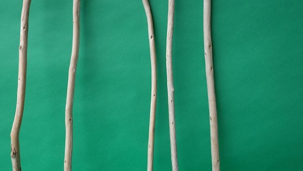 画像3: 棒流木セット (3)