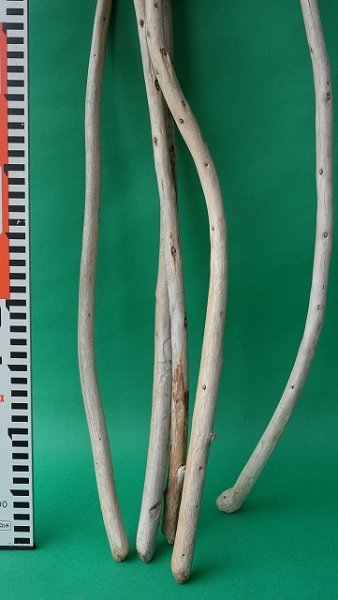 画像7: 棒流木セット (7)