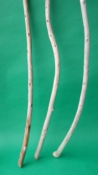 画像3: 棒流木セット (3)