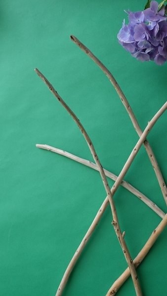 画像6: 棒流木セット (6)