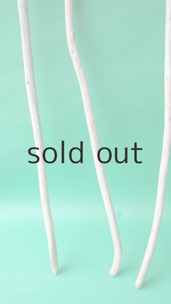 画像2: 棒流木セット (2)