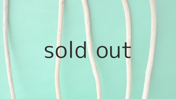 画像3: 棒流木セット (3)