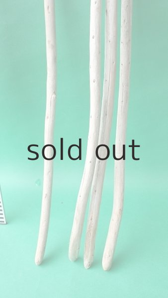 画像6: 棒流木セット (6)