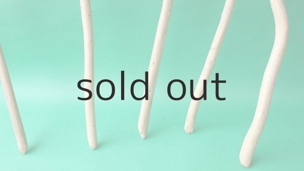 画像2: 棒流木セット (2)