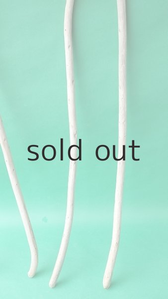 画像3: 棒流木セット (3)