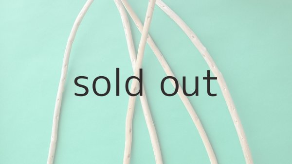 画像4: 棒流木セット (4)