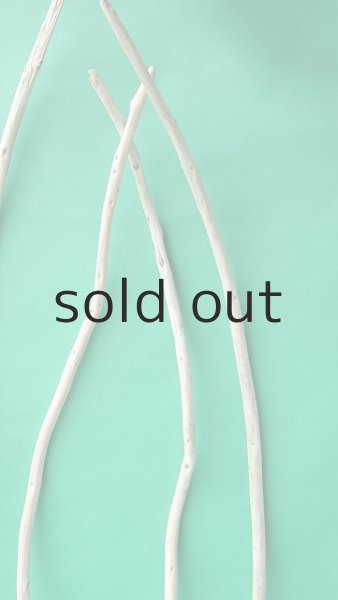 画像4: 棒流木セット (4)