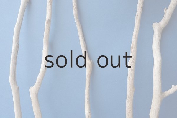 画像3: 小枝流木セット (3)