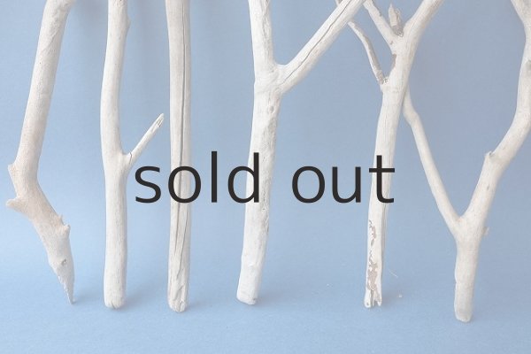 画像2: 小枝流木セット (2)