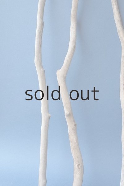 画像5: 小枝流木セット (5)