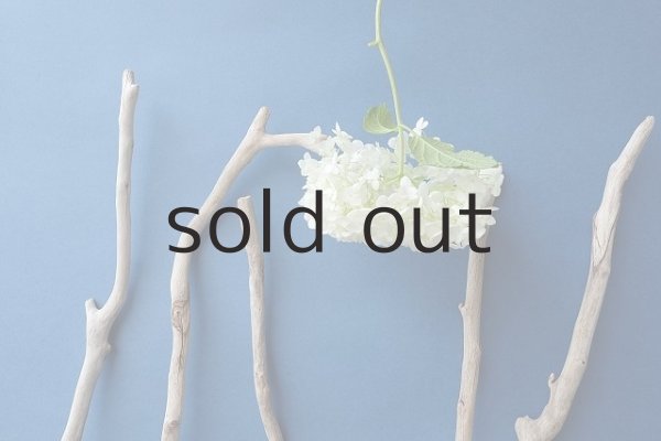 画像4: 小枝流木セット (4)