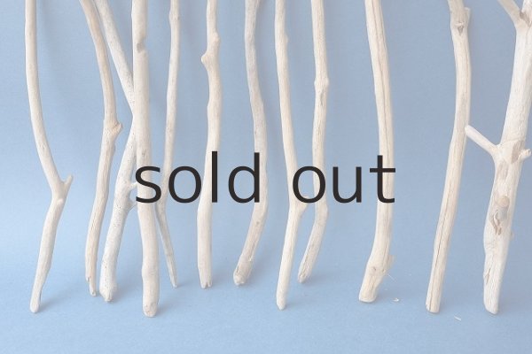 画像2: 小枝流木セット (2)