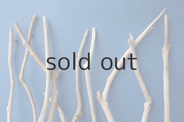 画像3: 小枝流木セット (3)