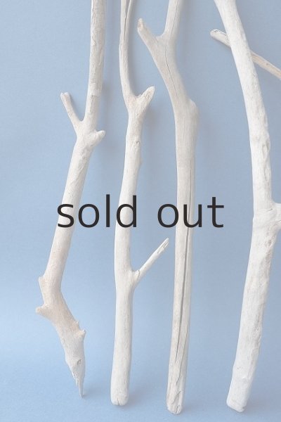 画像4: 小枝流木セット (4)