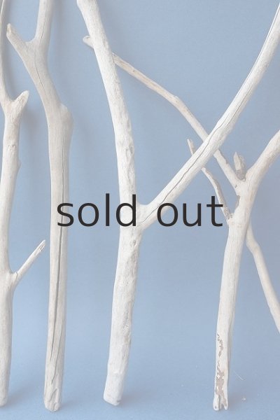 画像5: 小枝流木セット (5)