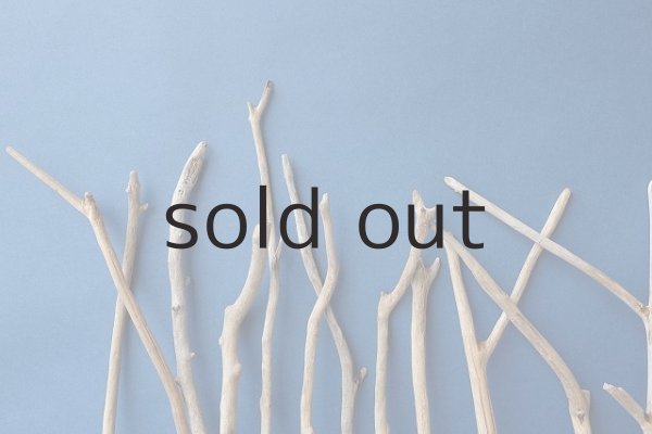 画像3: 小枝流木セット (3)