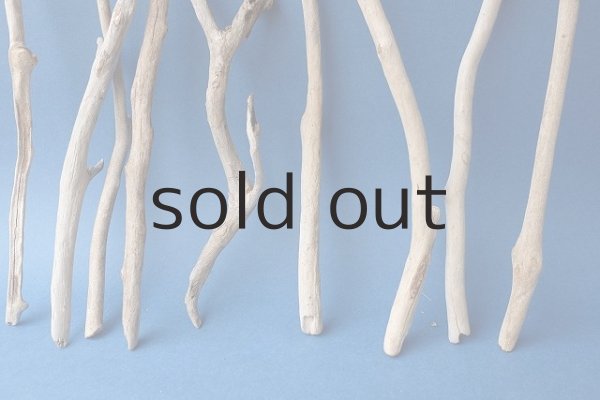 画像2: 小枝流木セット (2)