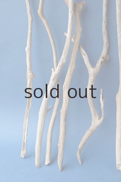 画像4: 小枝流木セット (4)