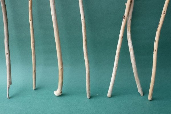 画像2: 棒流木セット (2)