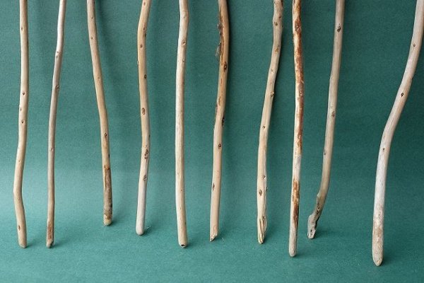 画像2: 棒流木セット (2)