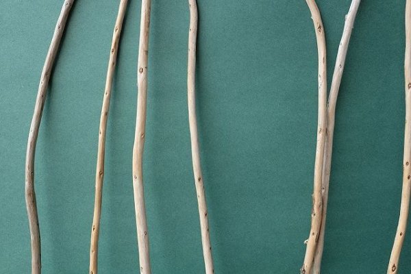 画像3: 棒流木セット (3)